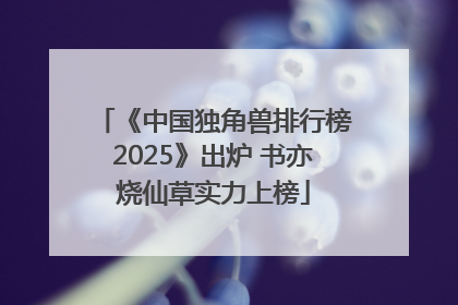 《中国独角兽排行榜2025》出炉 书亦烧仙草实力上榜