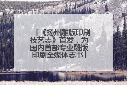 《扬州雕版印刷技艺志》首发，为国内首部专业雕版印刷全媒体志书