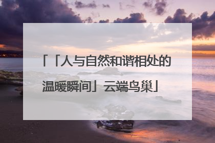 「人与自然和谐相处的温暖瞬间」云端鸟巢