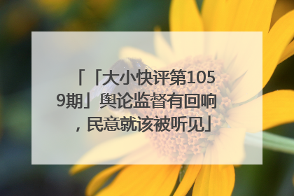 「大小快评第1059期」舆论监督有回响，民意就该被听见