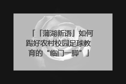 「蒲湖新语」如何踢好农村校园足球教育的“临门一脚”