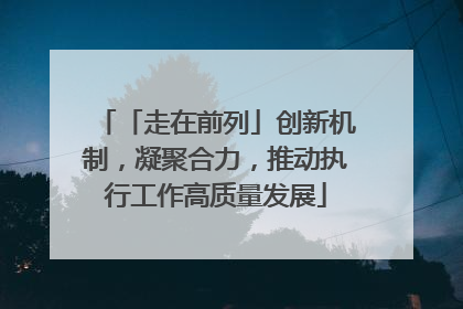 「走在前列」创新机制，凝聚合力，推动执行工作高质量发展