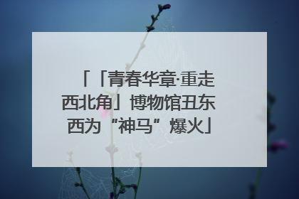「青春华章·重走西北角」博物馆丑东西为“神马”爆火