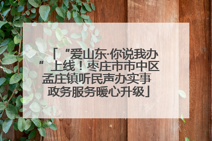 “爱山东·你说我办”上线！枣庄市市中区孟庄镇听民声办实事 政务服务暖心升级