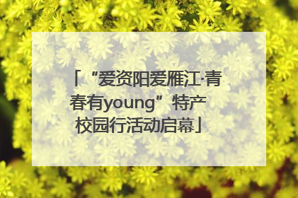“爱资阳爱雁江·青春有young”特产校园行活动启幕