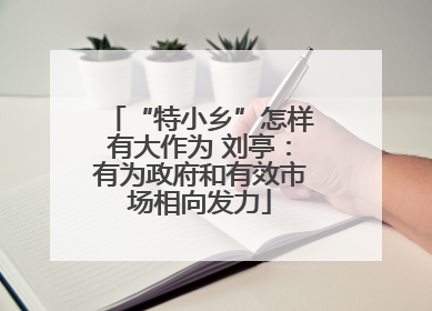 “特小乡”怎样有大作为 刘亭：有为政府和有效市场相向发力