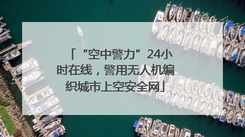 “空中警力”24小时在线，警用无人机编织城市上空安全网
