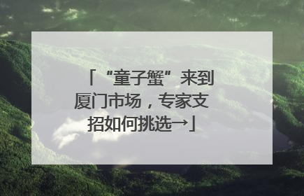 “童子蟹”来到厦门市场，专家支招如何挑选→