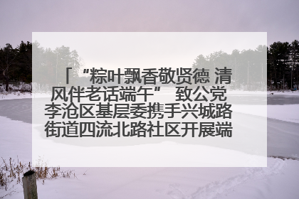 “粽叶飘香敬贤德 清风伴老话端午” 致公党李沧区基层委携手兴城路街道四流北路社区开展端午节主题活动
