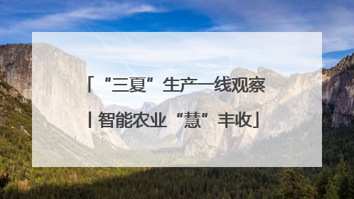 “三夏”生产一线观察丨智能农业“慧”丰收