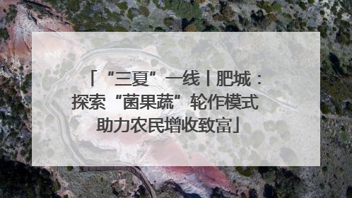 “三夏”一线丨肥城：探索“菌果蔬”轮作模式 助力农民增收致富