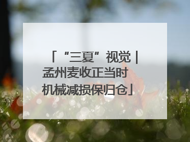 “三夏”视觉｜孟州麦收正当时 机械减损保归仓
