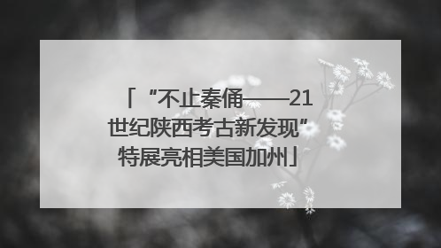 “不止秦俑——21世纪陕西考古新发现”特展亮相美国加州