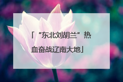 “东北刘胡兰”热血奋战辽南大地