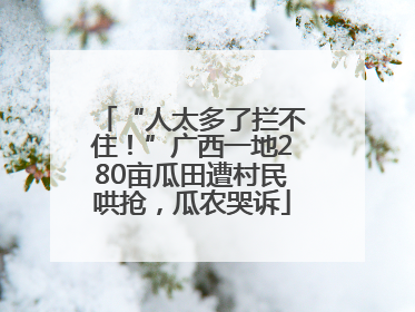 “人太多了拦不住！”广西一地280亩瓜田遭村民哄抢，瓜农哭诉