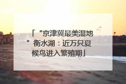 “京津冀最美湿地”衡水湖：近万只夏候鸟进入繁殖期
