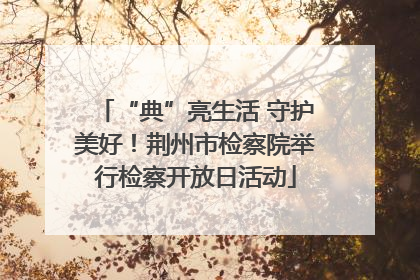 “典”亮生活 守护美好！荆州市检察院举行检察开放日活动