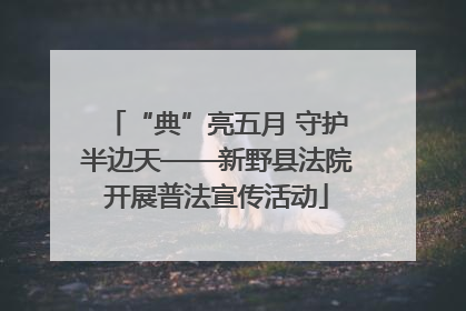 “典”亮五月 守护半边天——新野县法院开展普法宣传活动