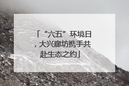 “六五”环境日，大兴廊坊携手共赴生态之约