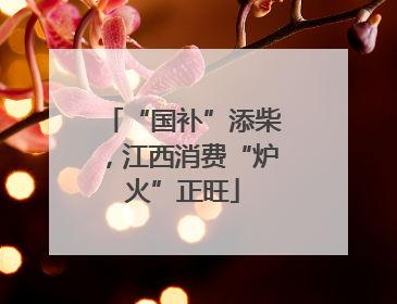 “国补”添柴，江西消费“炉火”正旺