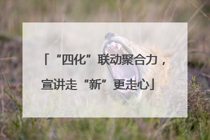 “四化”联动聚合力，宣讲走“新”更走心