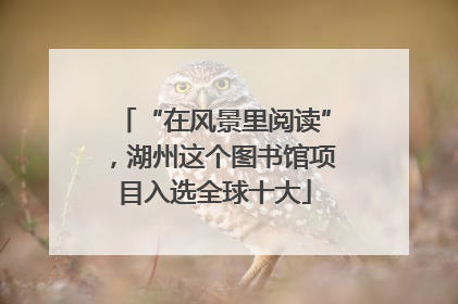 “在风景里阅读”，湖州这个图书馆项目入选全球十大