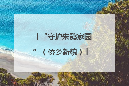 “守护朱鹮家园”（侨乡新貌）