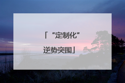 “定制化” 逆势突围