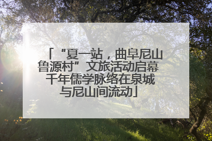 “夏一站，曲阜尼山鲁源村”文旅活动启幕 千年儒学脉络在泉城与尼山间流动