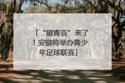 “徽青赛”来了！安徽将举办青少年足球联赛