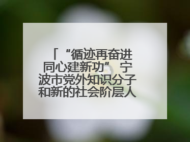 “循迹再奋进 同心建新功” 宁波市党外知识分子和新的社会阶层人士、归国留学人员走进宁波舟山港穿山港区
