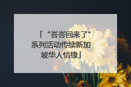 “峇峇回来了”系列活动传续新加坡华人情缘