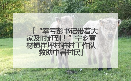 “幸亏彭书记带着大家及时赶到！”宁乡黄材镇崔坪村驻村工作队救助中暑村民
