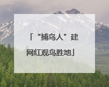 “捕鸟人”建网红观鸟胜地