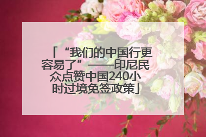 “我们的中国行更容易了”——印尼民众点赞中国240小时过境免签政策