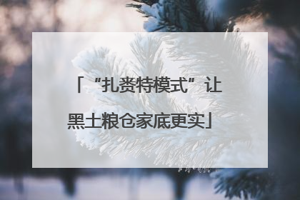 “扎赉特模式”让黑土粮仓家底更实