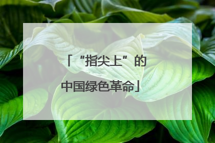 “指尖上”的中国绿色革命