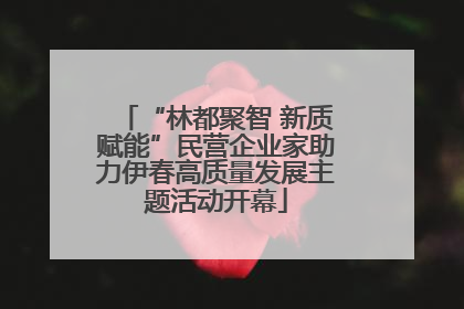 “林都聚智 新质赋能”民营企业家助力伊春高质量发展主题活动开幕