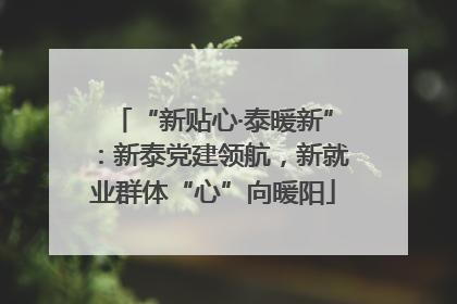 “新贴心·泰暖新”：新泰党建领航，新就业群体“心”向暖阳