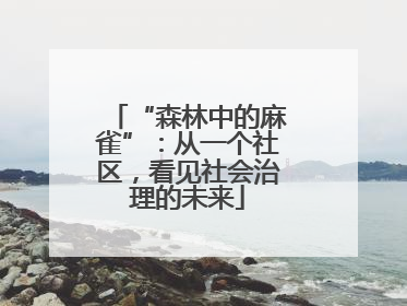 “森林中的麻雀”：从一个社区，看见社会治理的未来