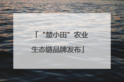 “楚小田”农业生态链品牌发布
