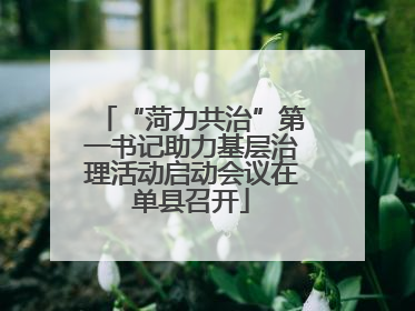 “菏力共治”第一书记助力基层治理活动启动会议在单县召开