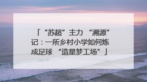 “苏超”主力 “溯源” 记：一所乡村小学如何炼成足球 “造星梦工场”
