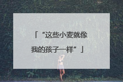 “这些小麦就像我的孩子一样”