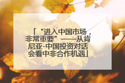 “进入中国市场，非常重要”——从肯尼亚-中国投资对话会看中非合作机遇