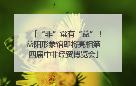“非”常有“益”！益阳形象馆即将亮相第四届中非经贸博览会