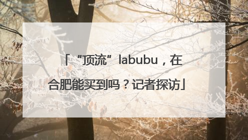 “顶流”labubu，在合肥能买到吗？记者探访