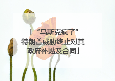 “马斯克疯了” 特朗普威胁终止对其政府补贴及合同
