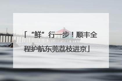 “鲜”行一步！顺丰全程护航东莞荔枝进京
