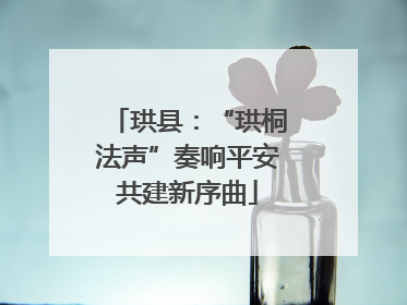 珙县：“珙桐法声”奏响平安共建新序曲